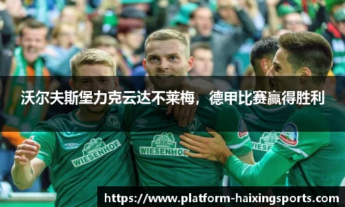 海星体育官网