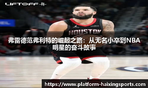 海星体育直播