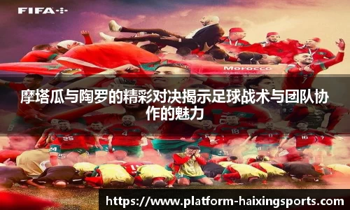 海星体育直播