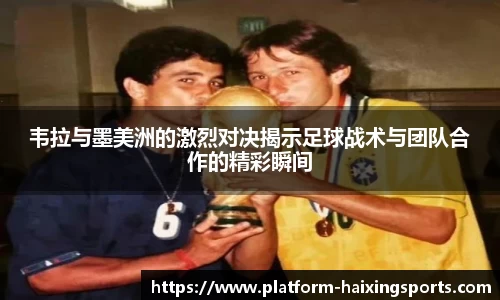 海星体育直播