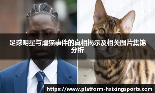 足球明星与虐猫事件的真相揭示及相关图片集锦分析